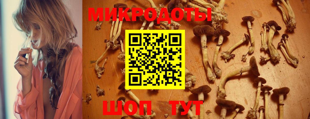 Псилоцибиновые грибы мицелий Амурск