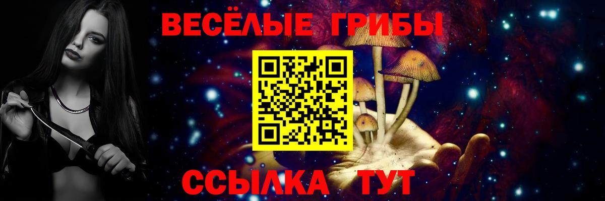 Амурск  Галлюциногенные грибы Cubensis  купить наркоту  Вход с VPN 